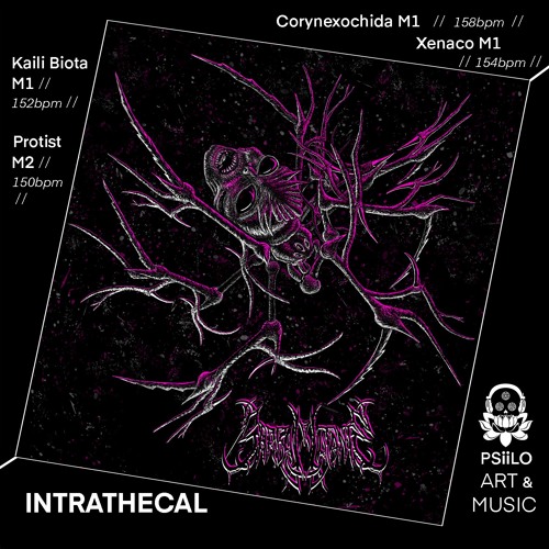 Barba Mutante - Xenaco M1 - 154bpm