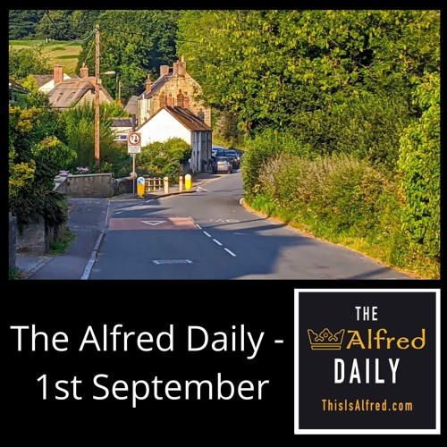 The Alfred Daily - 1st September