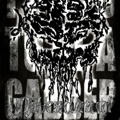 Gabber is not Fashion !