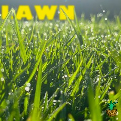Lawn