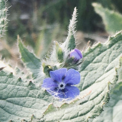 RUSHIN (prod pilotkid)