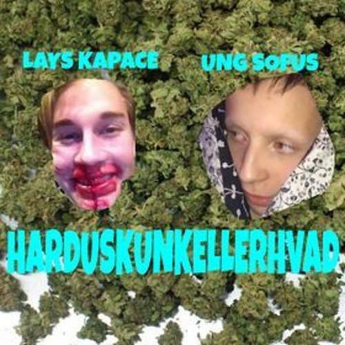 HARDUSKUNKELLERHVAD pug x lays kapace