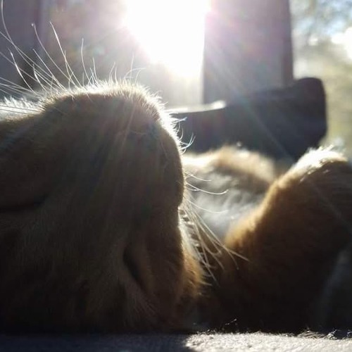 Colonel Theodore "Beef" String