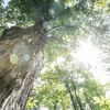The Vicki Barron Lakeside Trail Talk By York Durham Headwaters