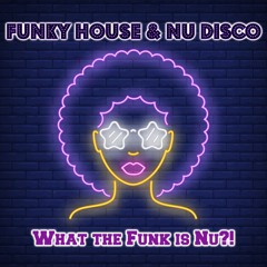 Funky House & NU Disco 2022 🌠 What the Funk is NU 🌠