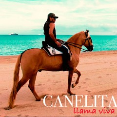 Llama Viva (Beatcreator Remix)