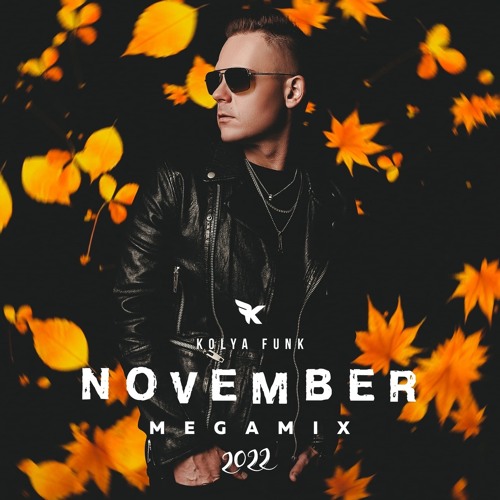 Kolya Funk - November 2022 Megamix