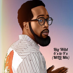 Big Wild- 6’s to 9’s (MiLLi Mix)