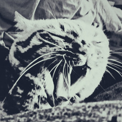 ruinedchurch - Introspective