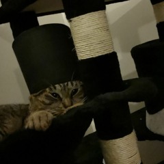 HARD TECHNO MIX #01 @Oggy