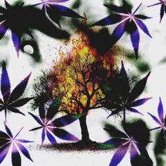 Hit Of Weed