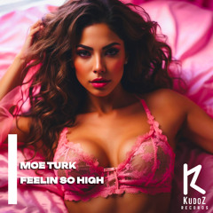 Moe Turk - Feelin So High