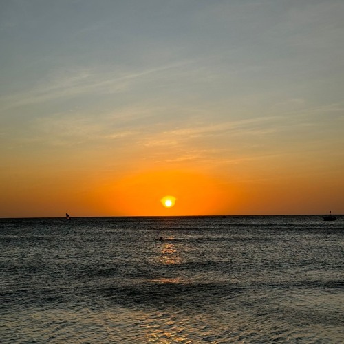 Oasis Cannabis Août 2024