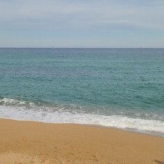 신지훈 -  키 작은 나무.                                                    조립식 가족 OST Part.3.m4a