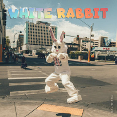 White rabbit