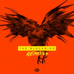 Jay Reeve - The Blackbird (The Un4given Remix)