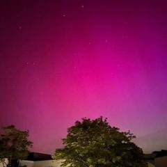 El jardín por la noche de polar Pt.2