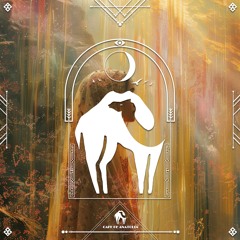 Shahrzad Dreams