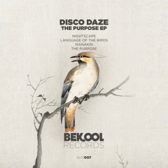 Disco Daze - The Purpose (Original Mix)