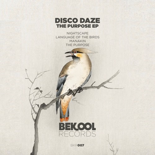 Disco Daze - The Purpose (Original Mix)