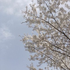 每当闭眼时 - 山k Dee (every time I close my eyes)