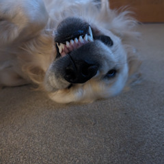 bad habits good intentions