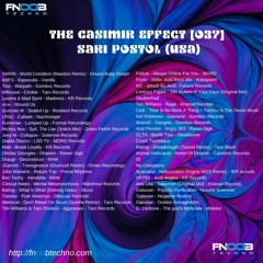 The Casimir Effect 037 | Sari Postol (USA)