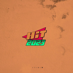 Trinix - Mashup Remix Hits 2023