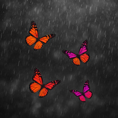 Butterfly Effect