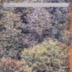 Thme - Mirage