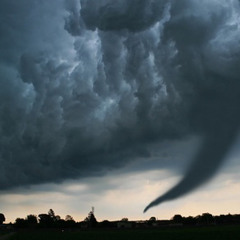 Tropical Storm