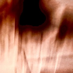 The Great Assad Circus - Old Textures