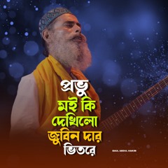 Probhu moi ki dekhilu zubeen dar vitore