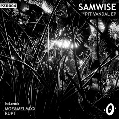 PZ004 - SAMWISE - On Demand (Rupt remix)/ SNIPPET