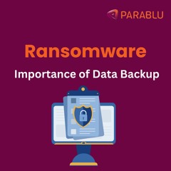 Ransomware Attacks  - The Importance Of Data Backup
