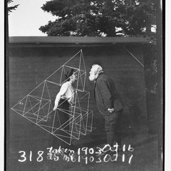 I Don't Want Anybody But You - Plume Moth Orchestra (featuring Melanie Peterson)