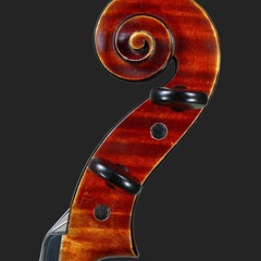 Stringed Instruments