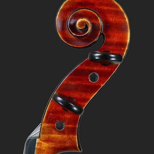 Stringed Instruments