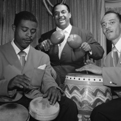 Beats and Bongos #2