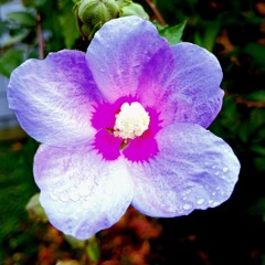 Kai Goldmann - Seelenspiel(Klavier)