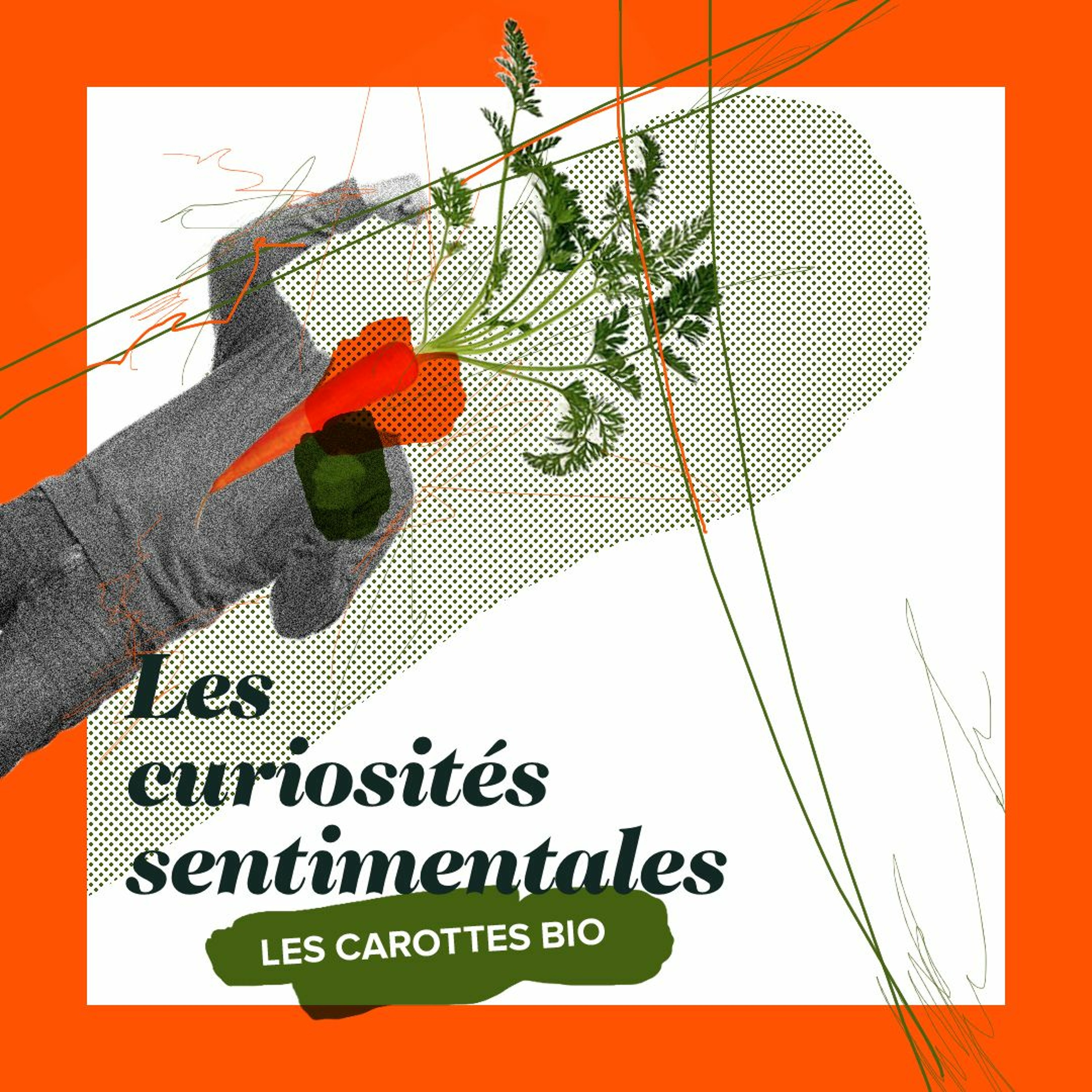 Les Curiosites Sentimentales