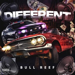 Bull Reef - Different
