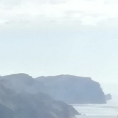 Werner M. Wahnsinnsfisch @ 32 Shots (Breite Ecke)