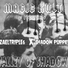 Valley Of Shadows feat. SHADOW PUPPET (prod.THORN)