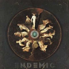 Endemic - TournedisK ( REmix Endaleko - Ivan Bayor