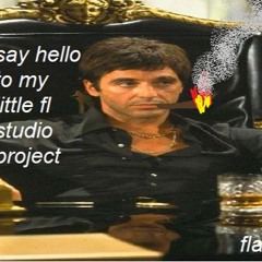 say hello to my little fl studio project