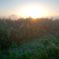 Along the Road