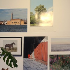 잔나비 주저하는 연인들을 위해 cover