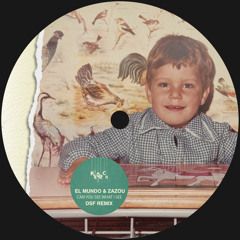 Can You See What I See (DSF Remix)