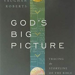 Read KINDLE 💓 God's Big Picture: Tracing the Storyline of the Bible by  Vaughan Robe